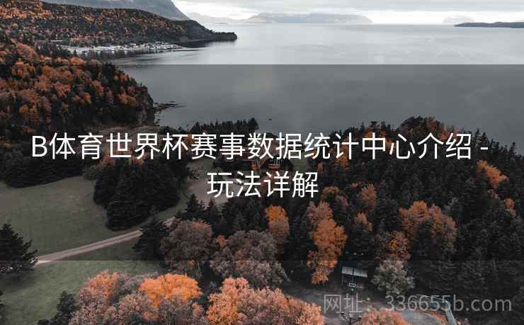 B体育世界杯赛事数据统计中心介绍 - 玩法详解