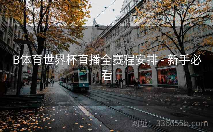 B体育世界杯直播全赛程安排 - 新手必看